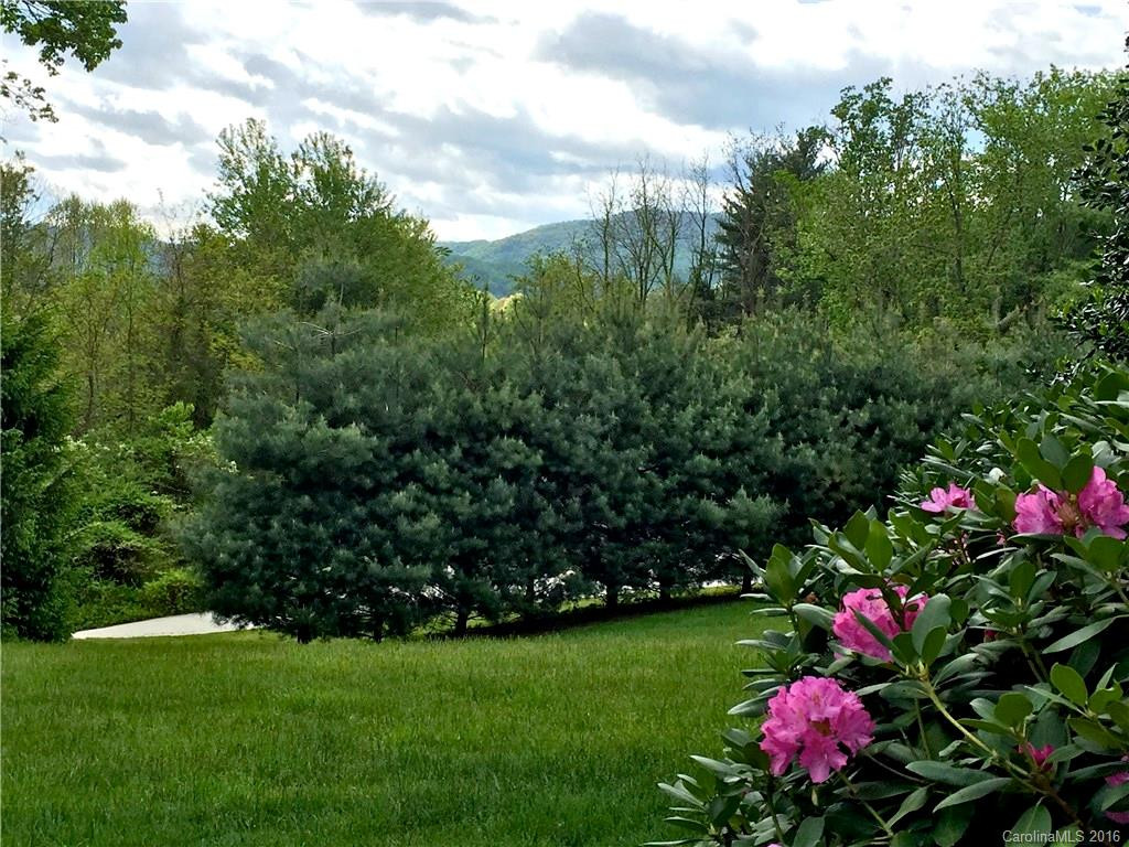 224 Hydrangea Drive - Photo 3