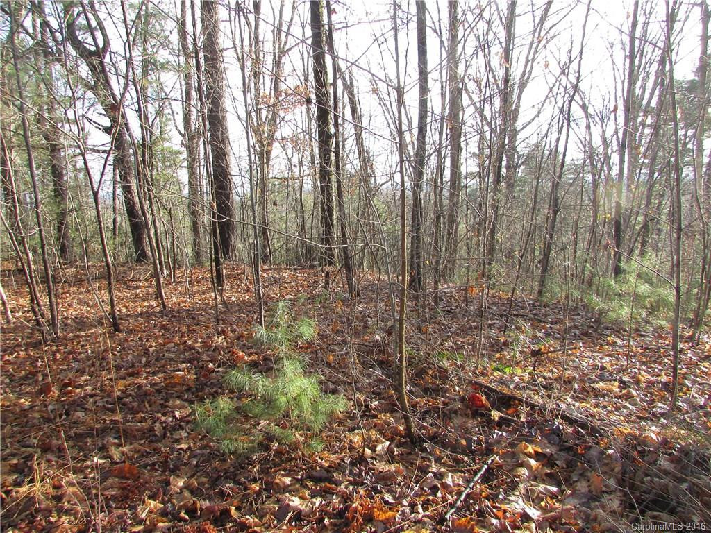 103 Poplar Spring Trail - Photo 19