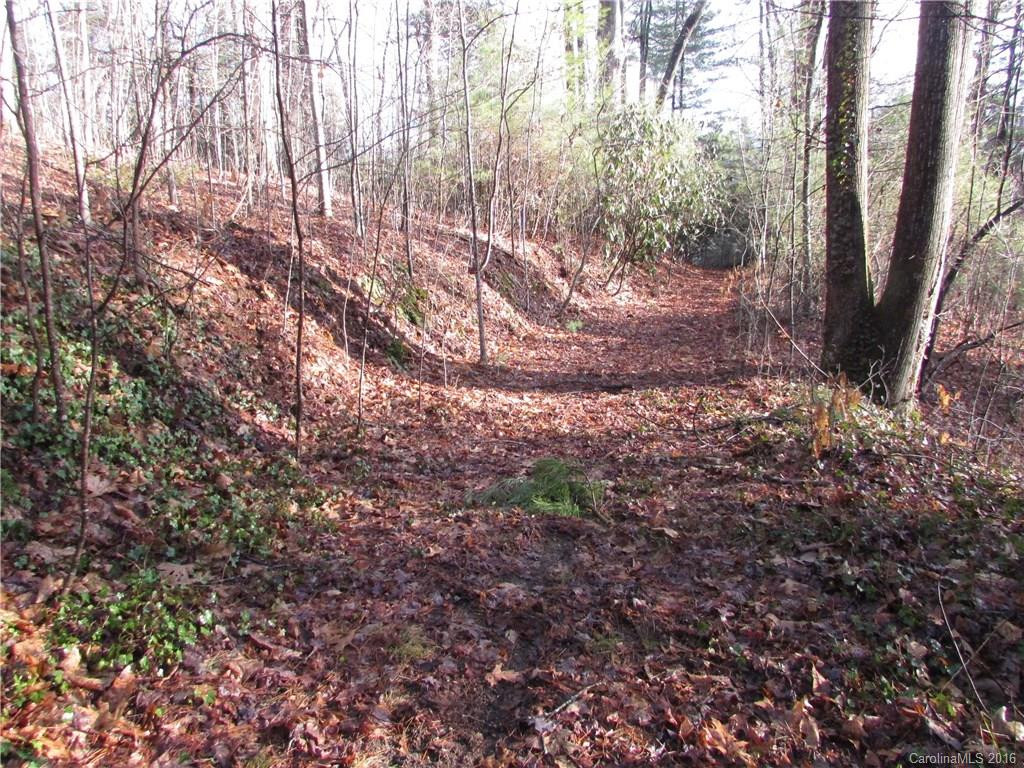 103 Poplar Spring Trail - Photo 23