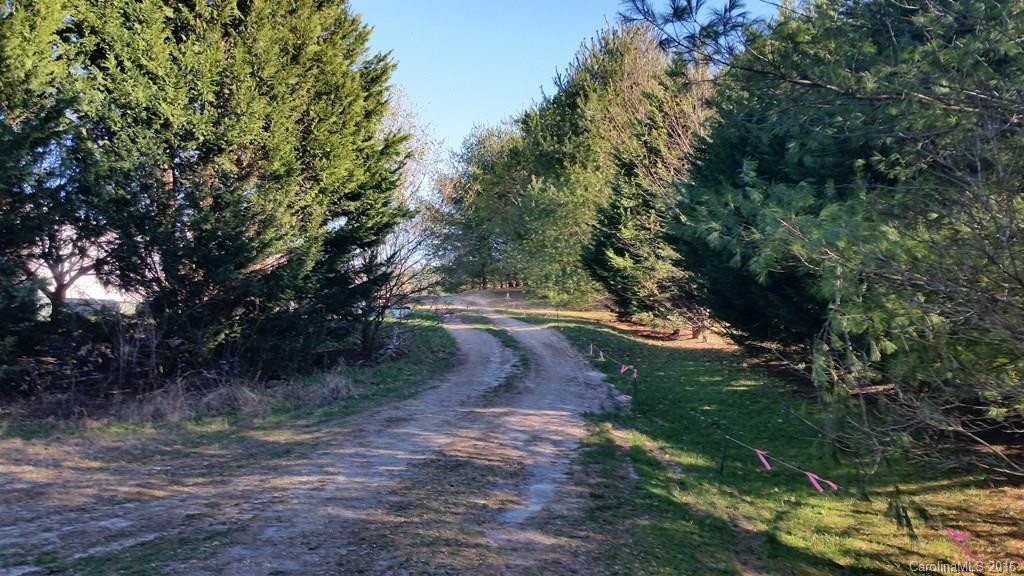 102 Justice Hills Drive - Photo 12