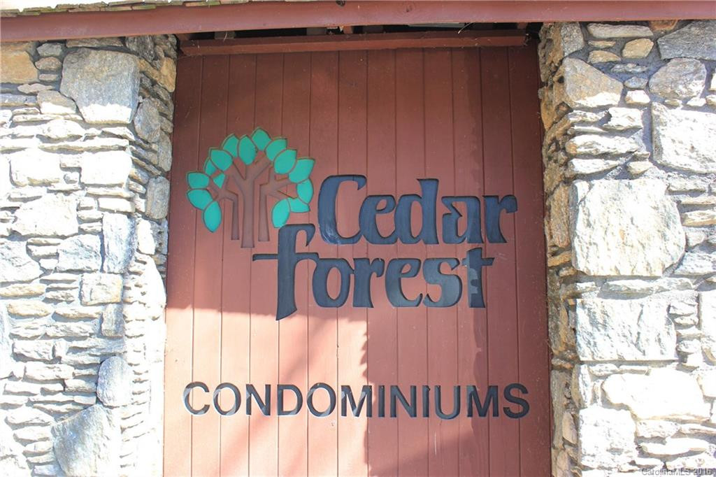 118 Cedar Forest Trail #118 - Photo 16