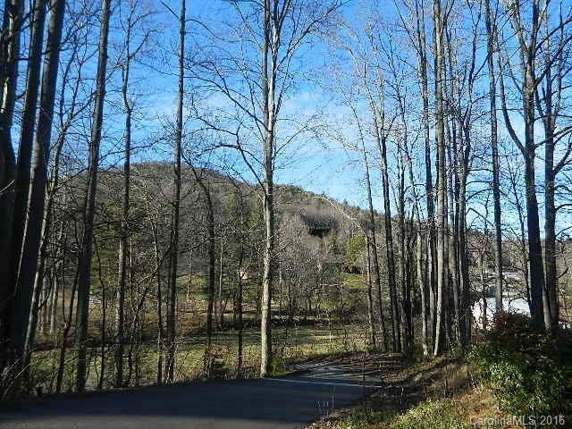 390 Dix Creek Road - Photo 2