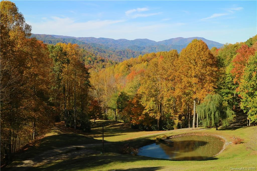 617 Norton Fork Road - Photo 4