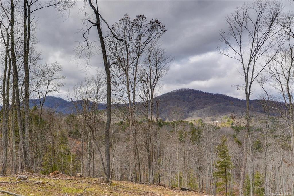 99 Solomon Road - Photo 4