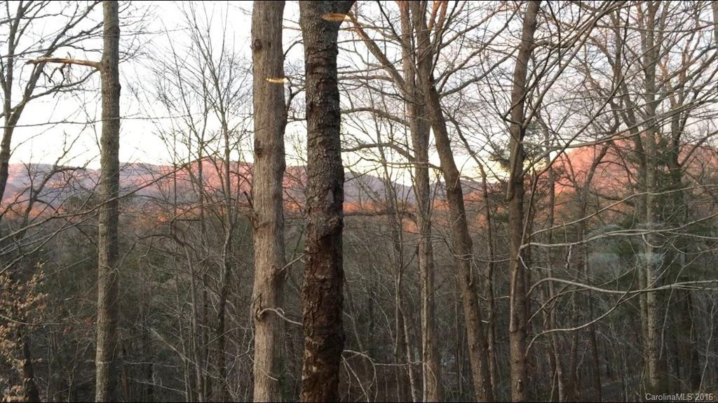 681 Laurel Ridge Road - Photo 17