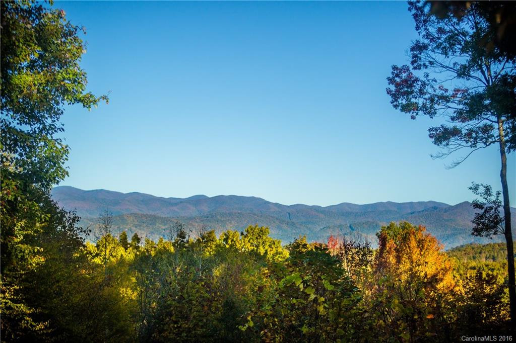 162 Falls View Drive #Lot 59/ Section 6-A - Photo 2
