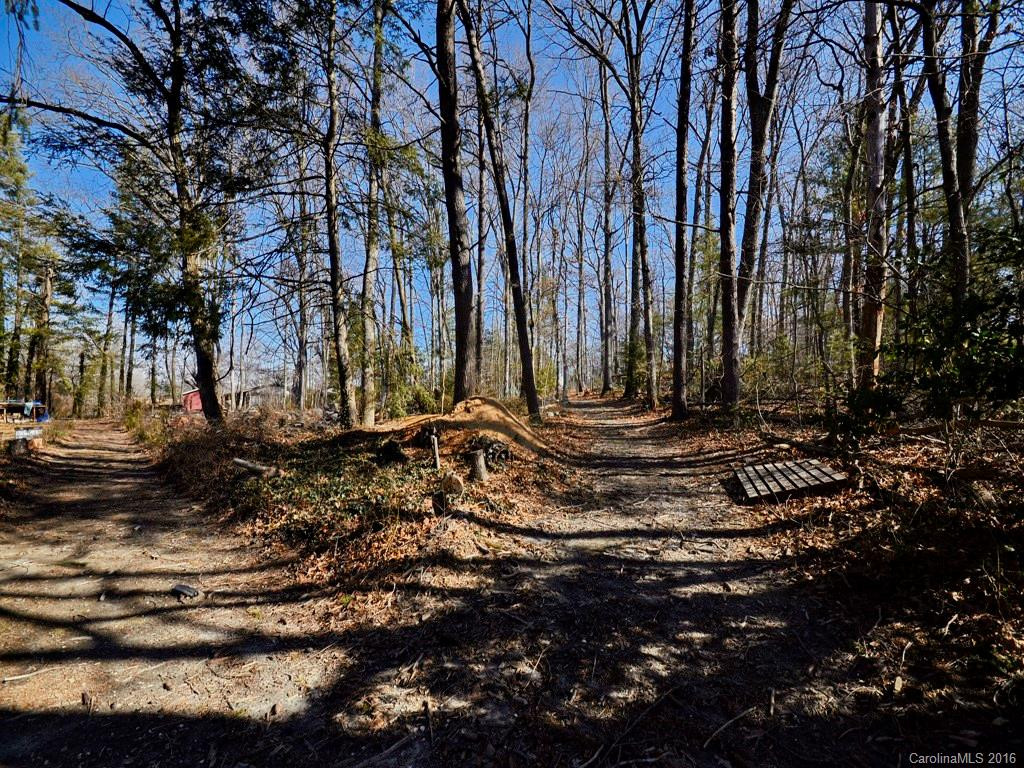 242 School Road #Portion - 3 - Photo 6