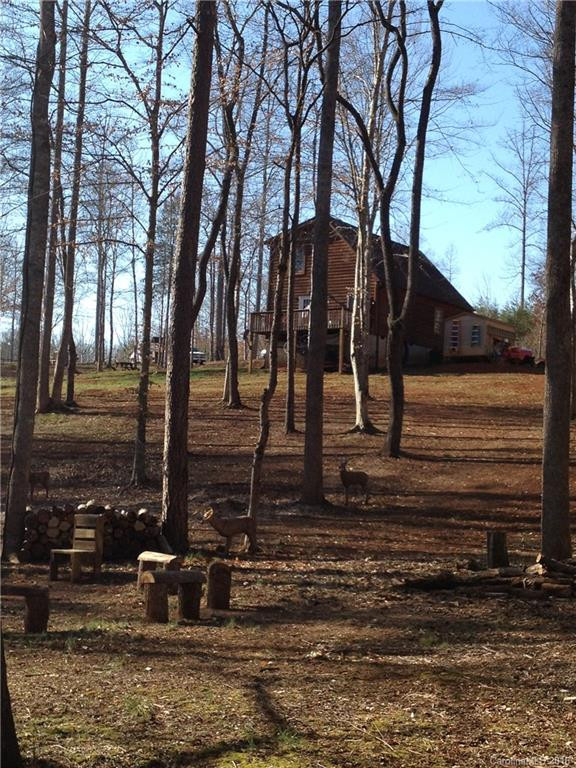 437 Cinnamon Ridge Road - Photo 20