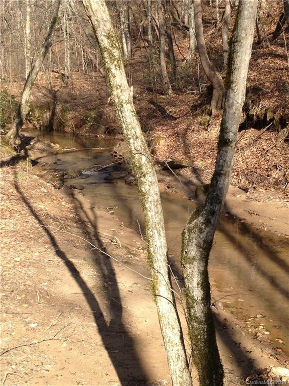 437 Cinnamon Ridge Road - Photo 24