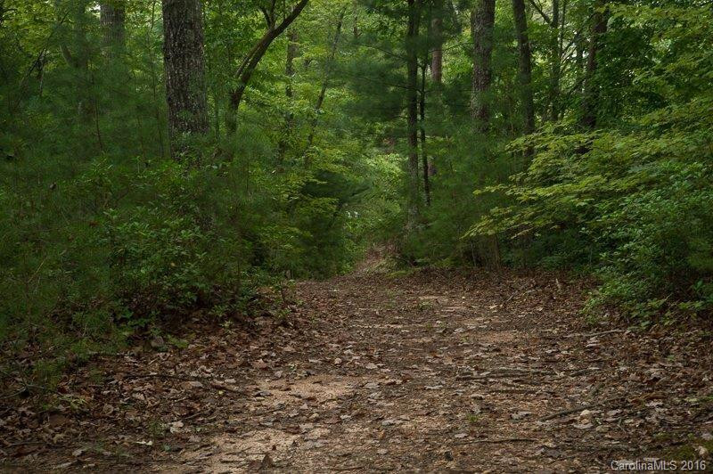 357 Lake Adger Parkway - Photo 7