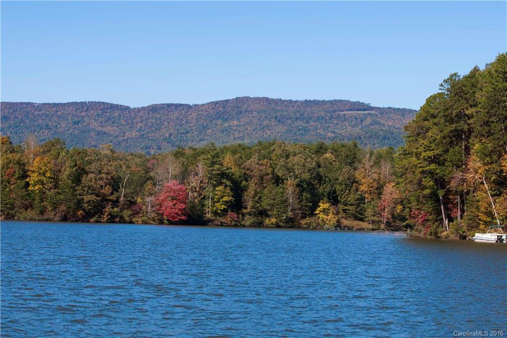 357 Lake Adger Parkway - Photo 9