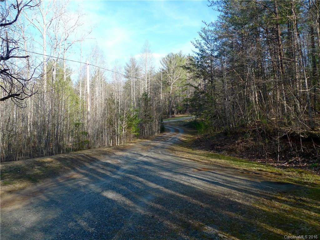 1314 Buckhorn Tavern Road - Photo 11