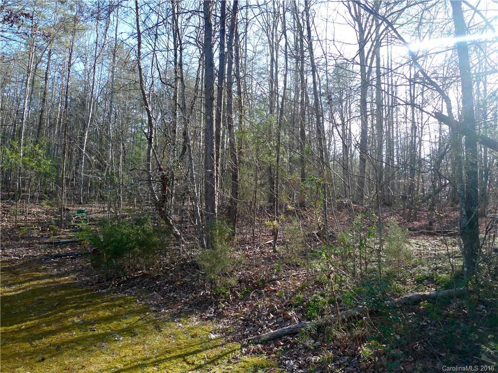 1314 Buckhorn Tavern Road - Photo 10
