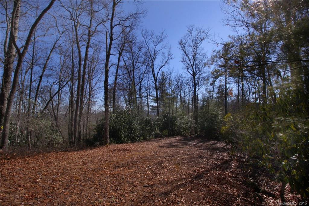 50 Crystal Creek Drive - Photo 8