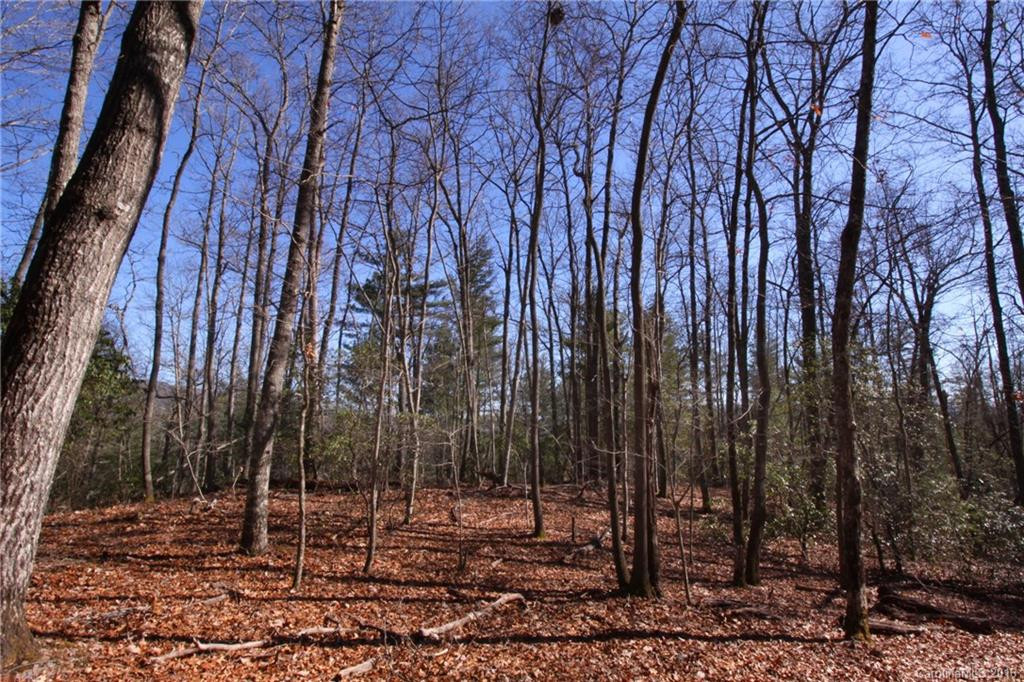 50 Crystal Creek Drive - Photo 9