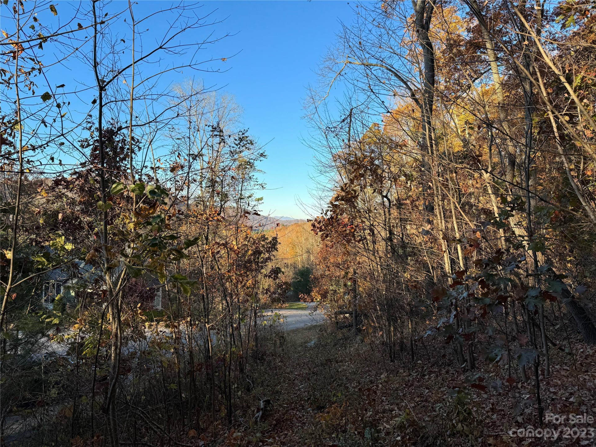 10 Clear Fork Lane #530 - Photo 3