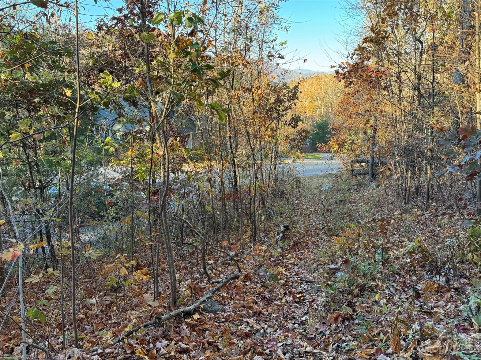 10 Clear Fork Lane #530 - Photo 4