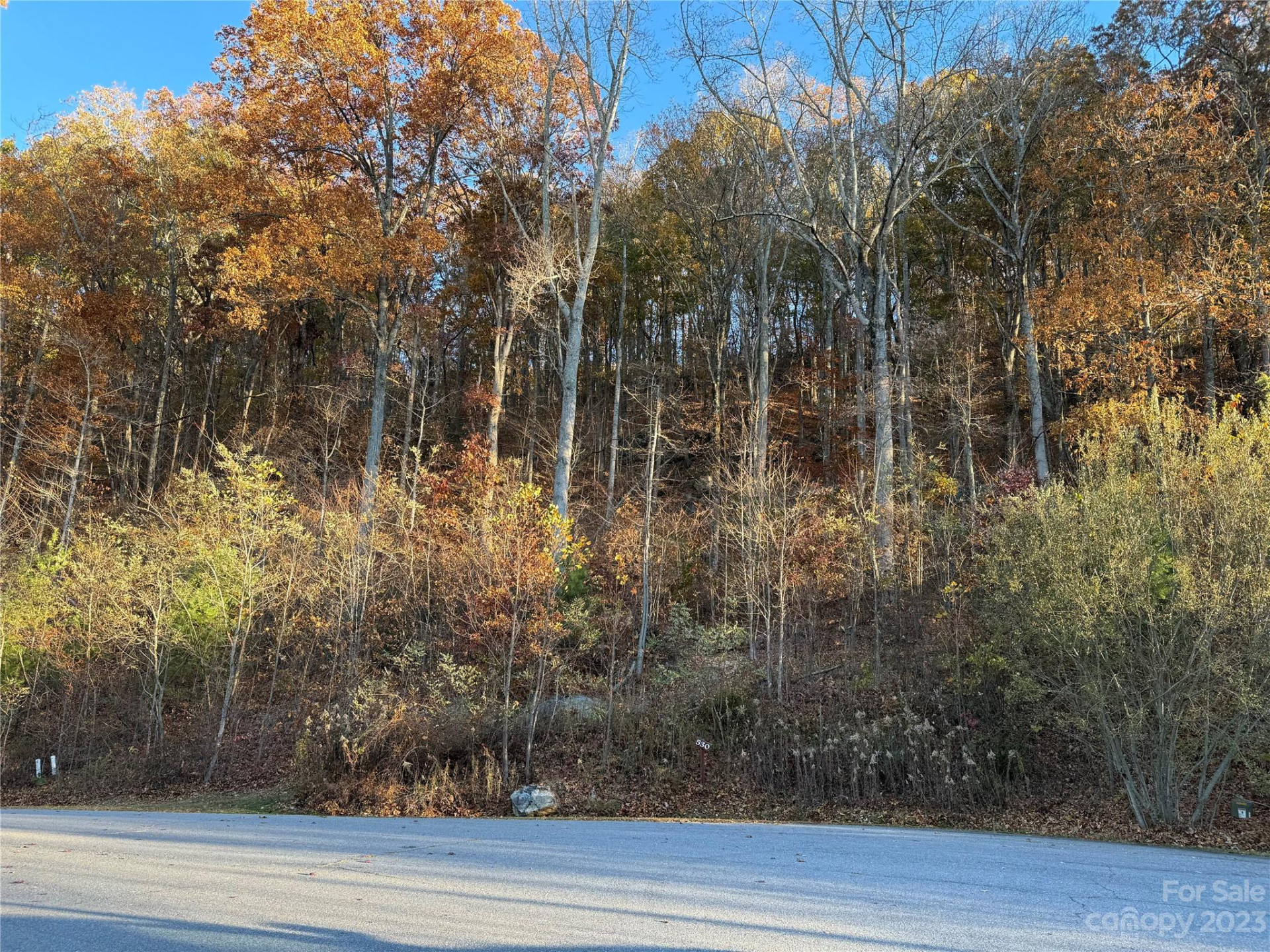 10 Clear Fork Lane #530 - Photo 5