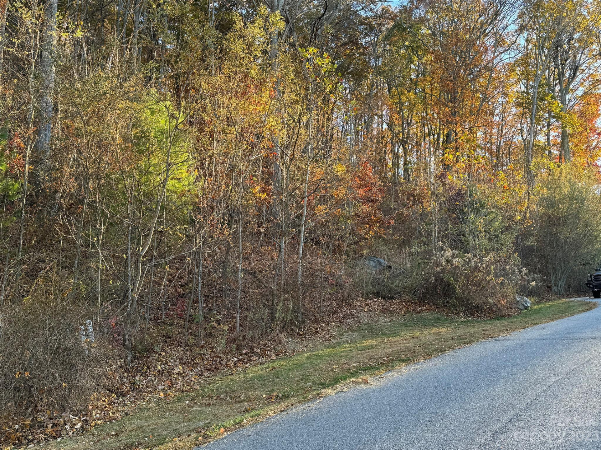 10 Clear Fork Lane #530 - Photo 6