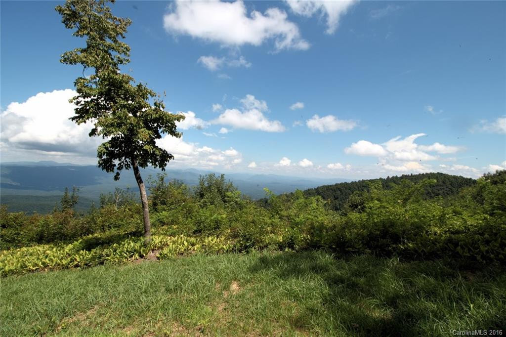 74 Tryon Ridge - Photo 4