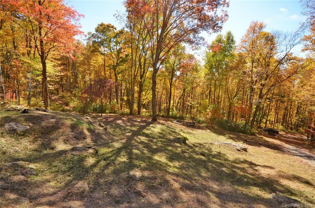 162 McDaris Cove Road - Photo 24