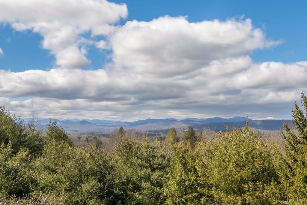 321 Mountain Valley Drive - Photo 2