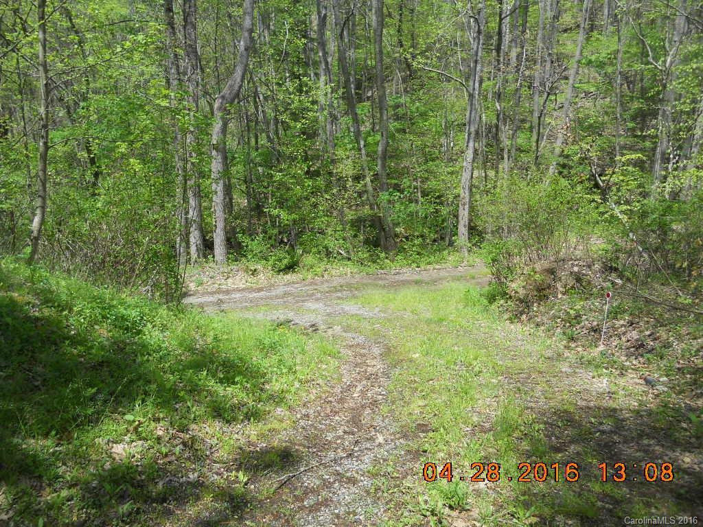409 Martins Creek Road - Photo 22