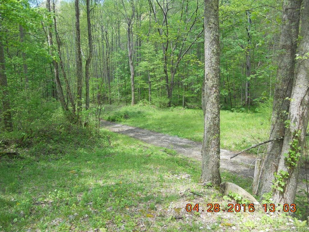 409 Martins Creek Road - Photo 4