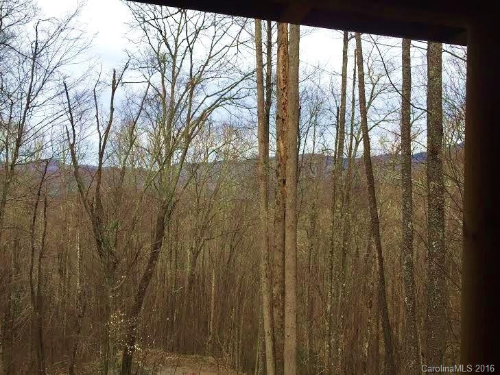 215 Big Spring Trail #63 - Photo 3