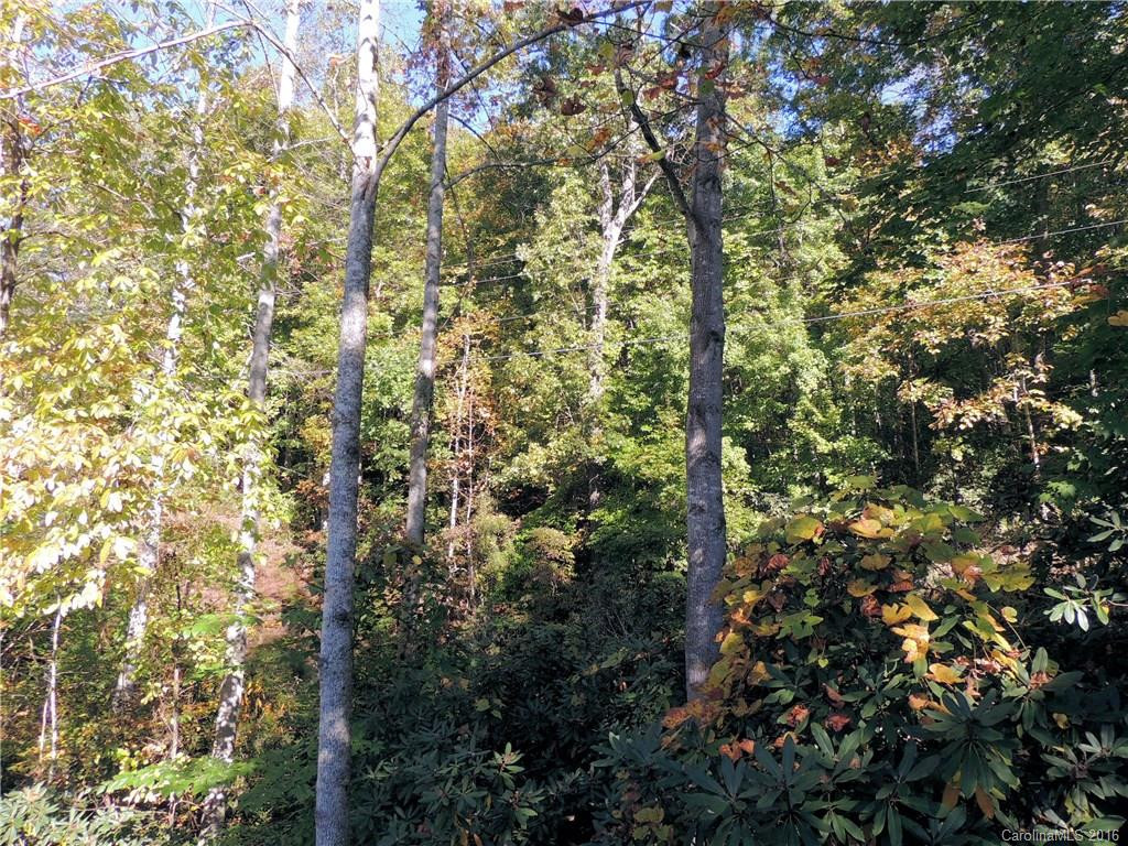4301 Cove Loop Road #30 - Photo 24