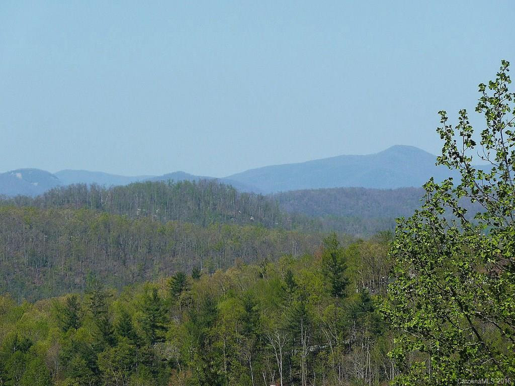 12 Wild Ivy Run - Photo 20