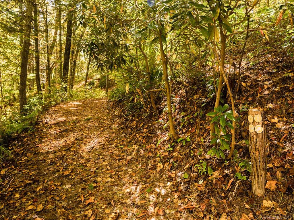 54 Long Tail Lane #31 - Photo 5