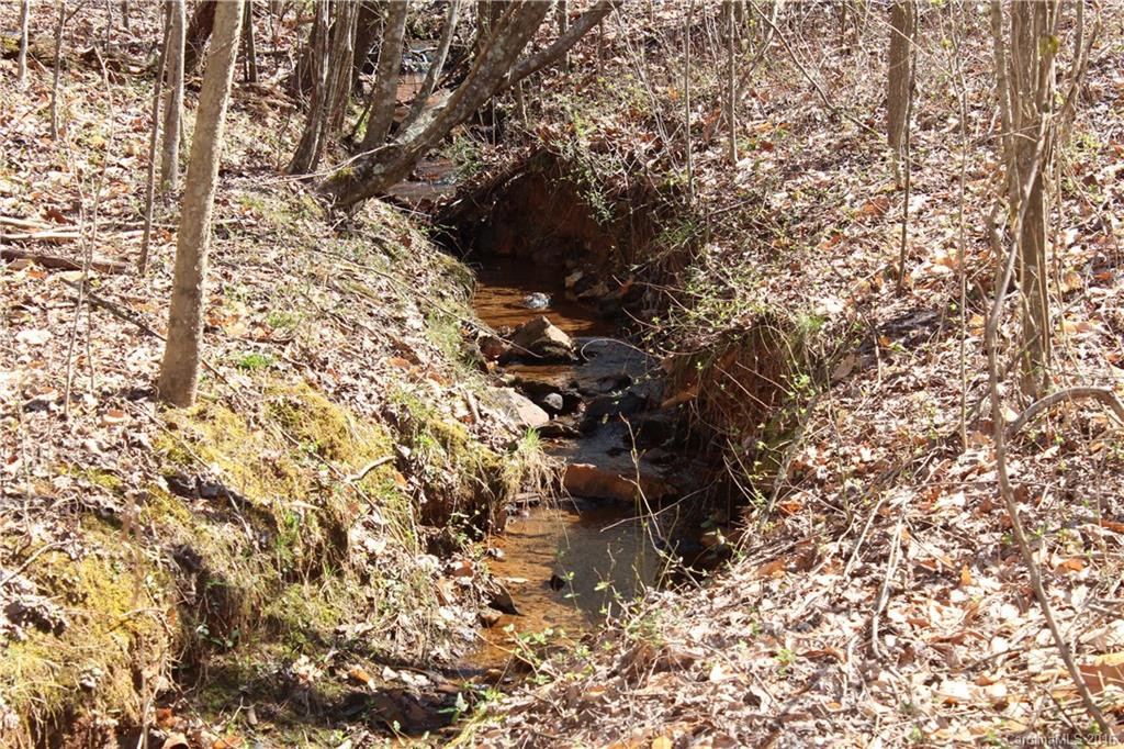 108 Stroud Mountain Trail #87 - Photo 13