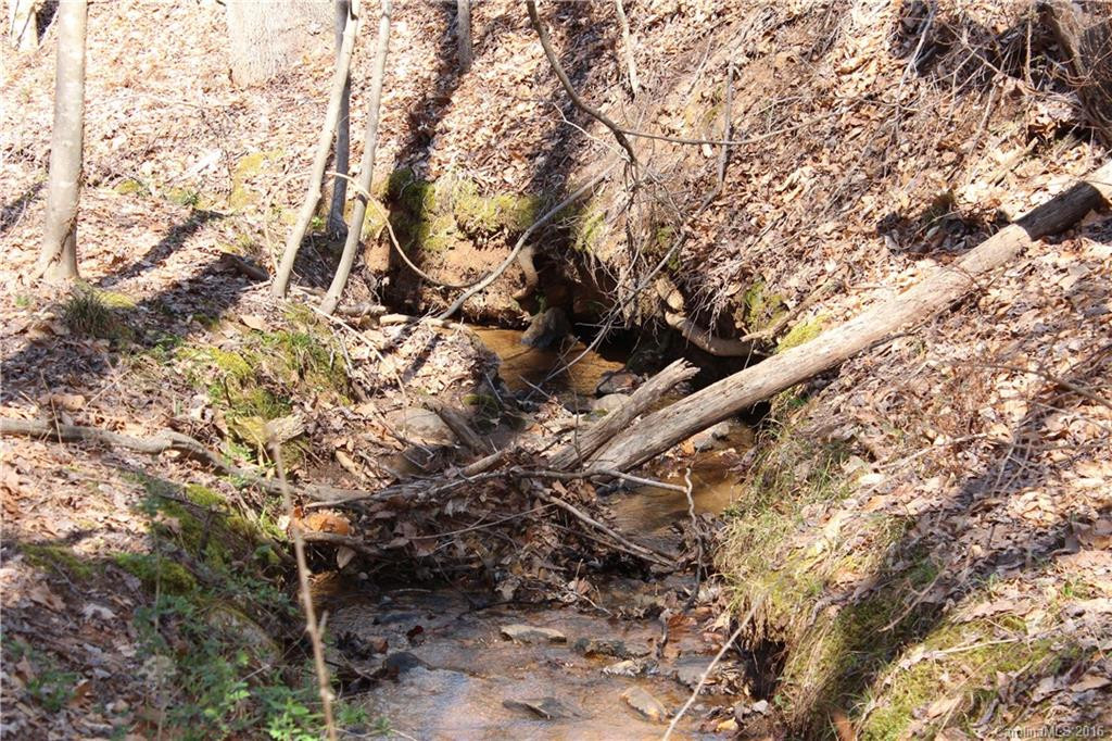 108 Stroud Mountain Trail #87 - Photo 14