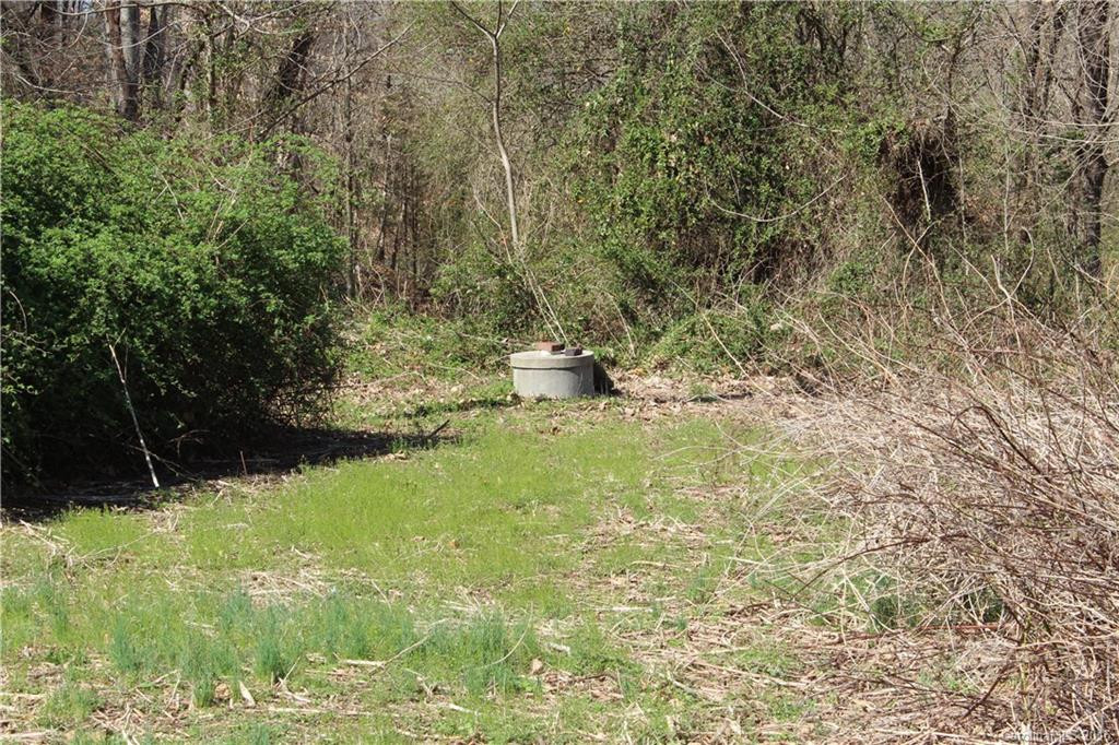 108 Stroud Mountain Trail #87 - Photo 17