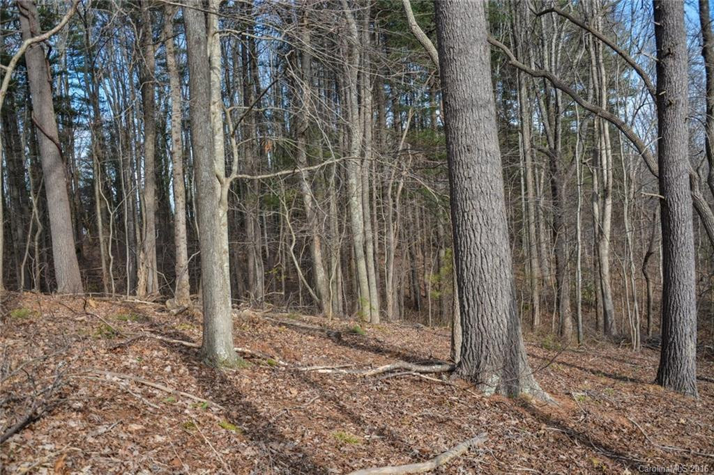 20 Simpson Hollow Road - Photo 24