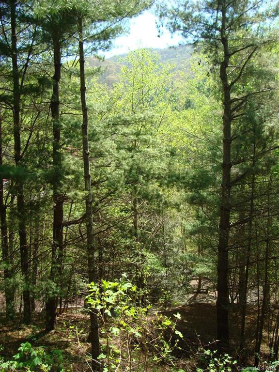 165 Gardenside Road #16-17 - Photo 19