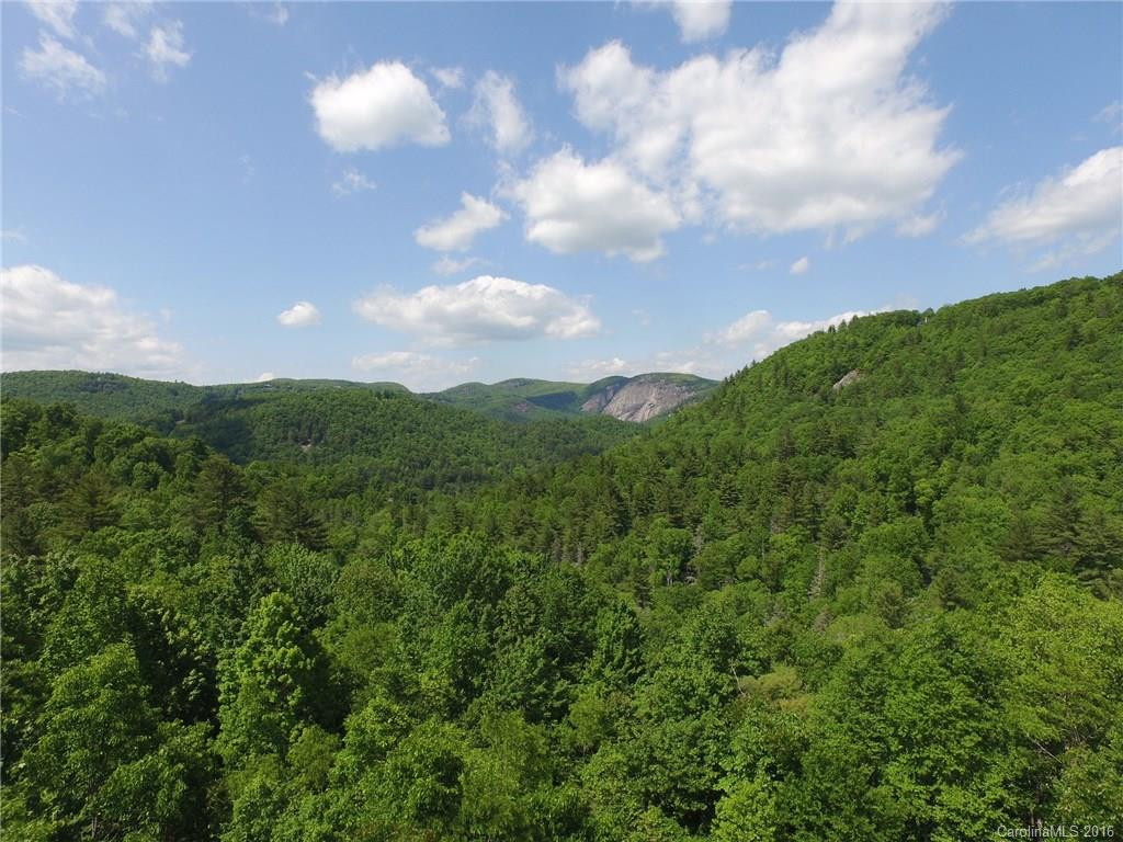 49 Craggy Creek Point #39 - Photo 2