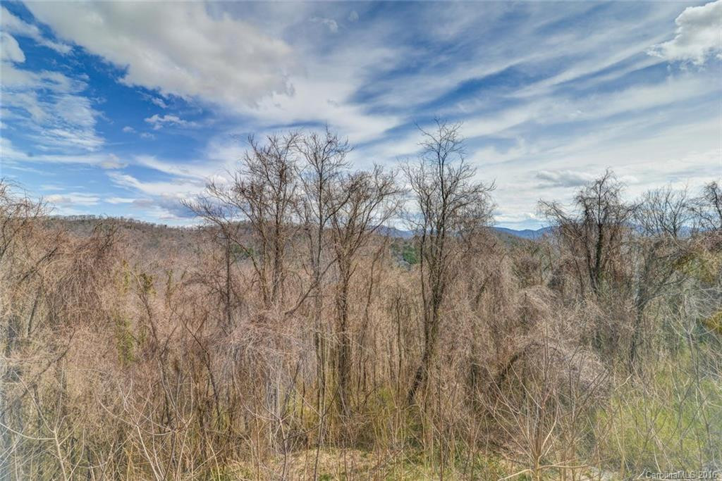 647 Town Mountain Road #305 - Photo 18