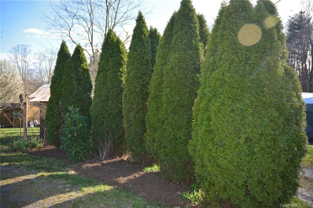 5 Smith Graveyard Road - Photo 22
