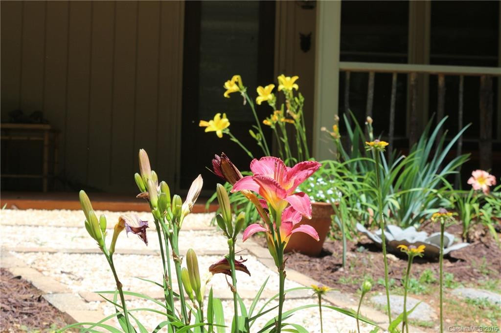 2092 Line Runner Ridge Road - Photo 23