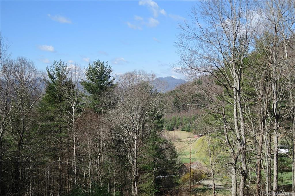1261 Charlie Brown Road - Photo 20
