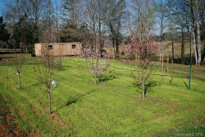 386 US 221 Highway - Photo 15