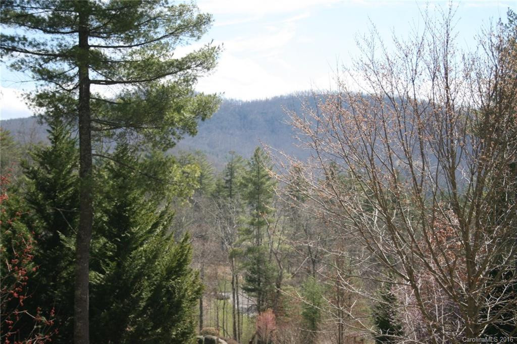 298 Kanuga Forest Drive #21 - Photo 16