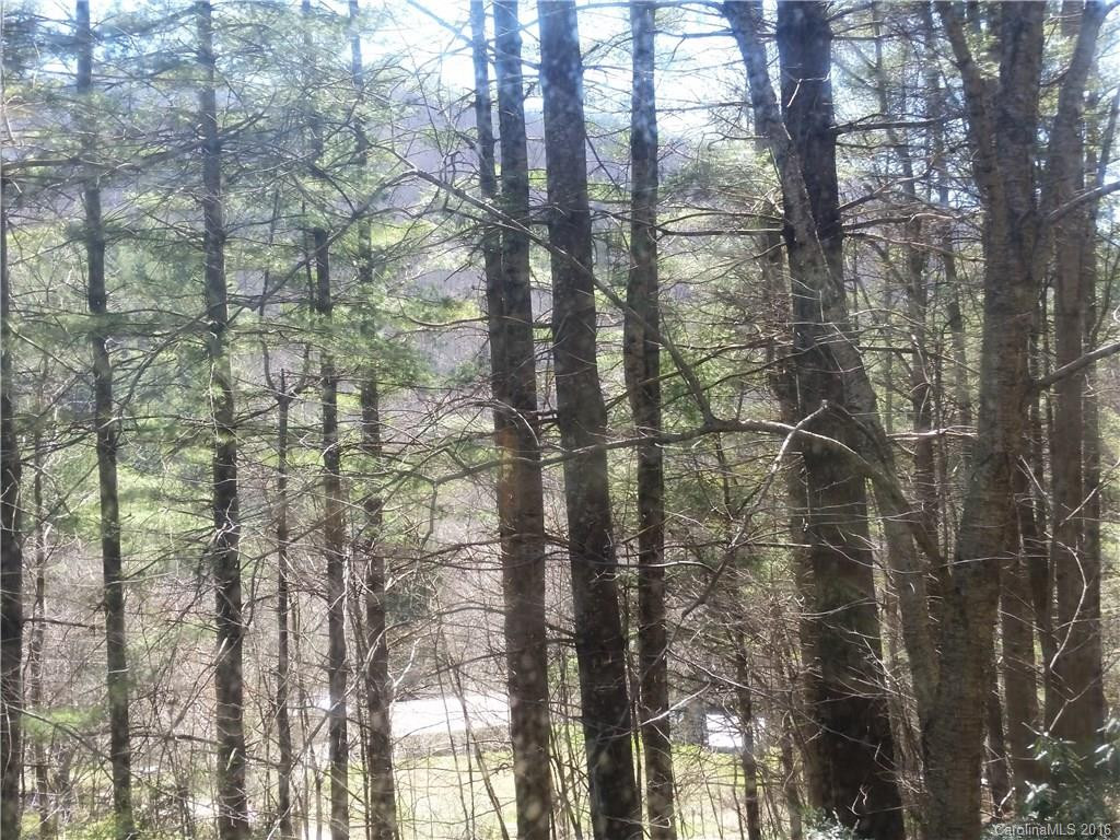 217 Rogers Hill Road - Photo 24