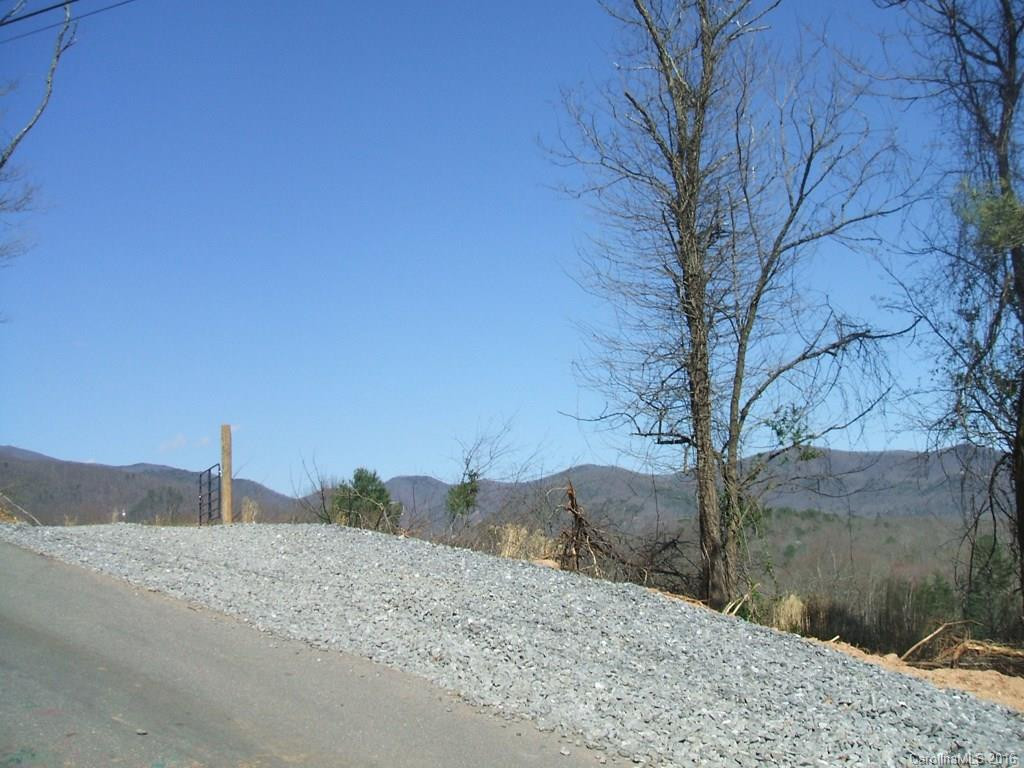 125 Mount Allen Heights Road - Photo 3