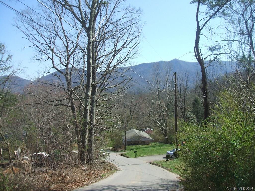125 Mount Allen Heights Road - Photo 4