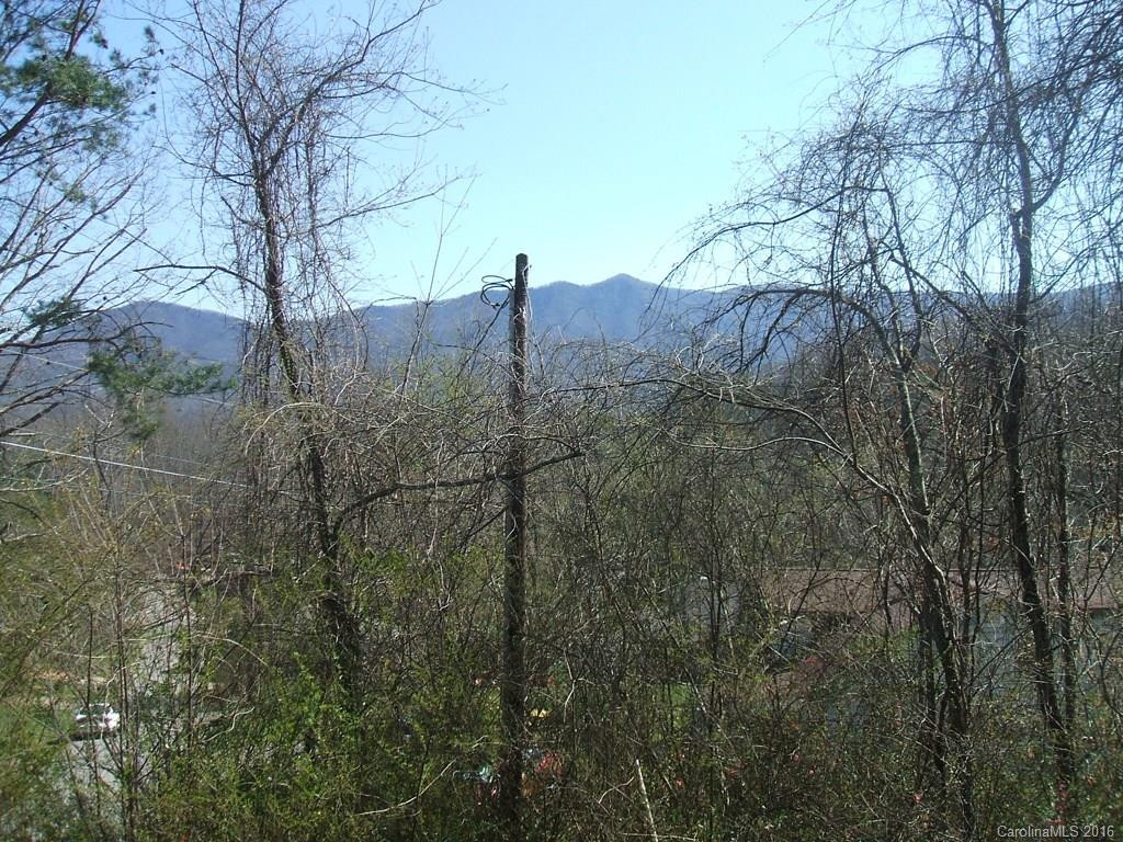 125 Mount Allen Heights Road - Photo 5