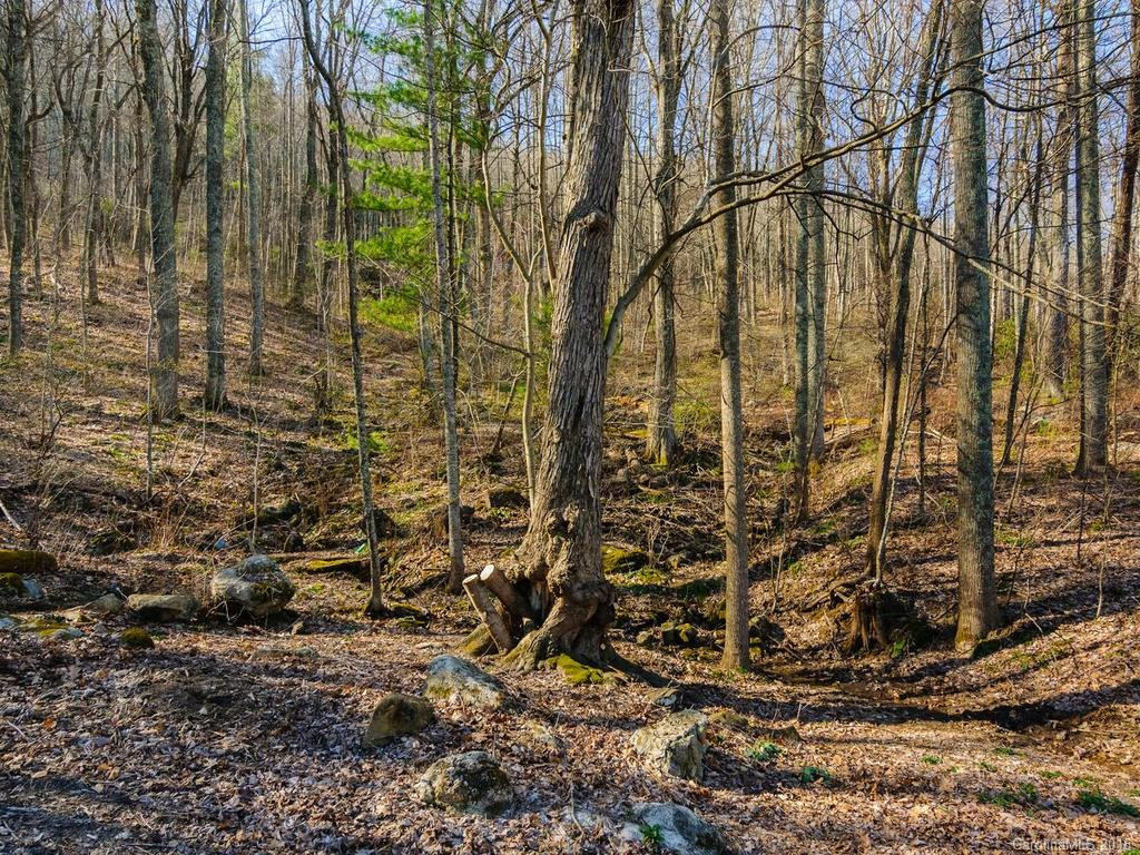 36 Cedar Mountain Road - Photo 23