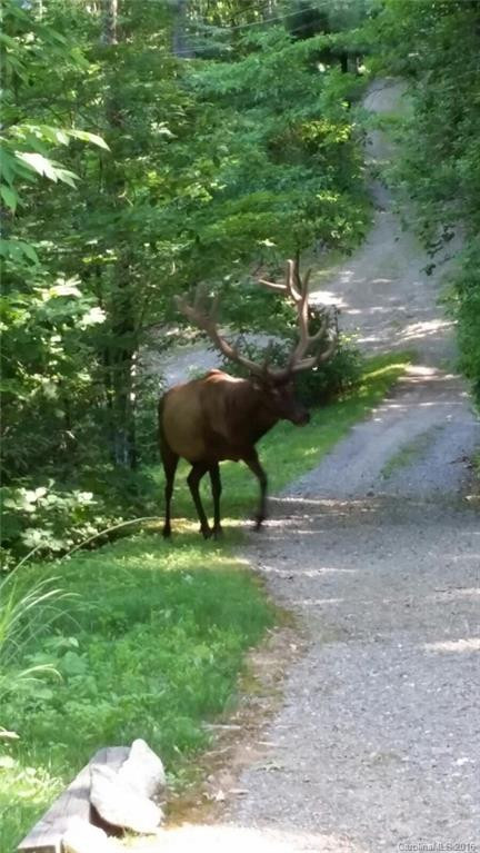 71 Yonder Trail - Photo 23